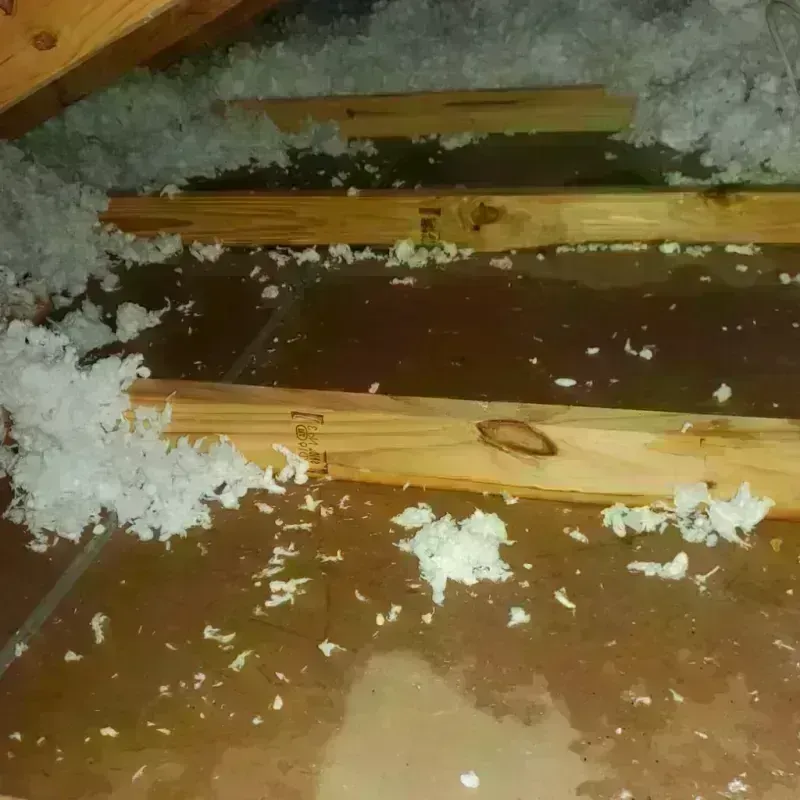 Attic Water Damage in Weehawken, NJ